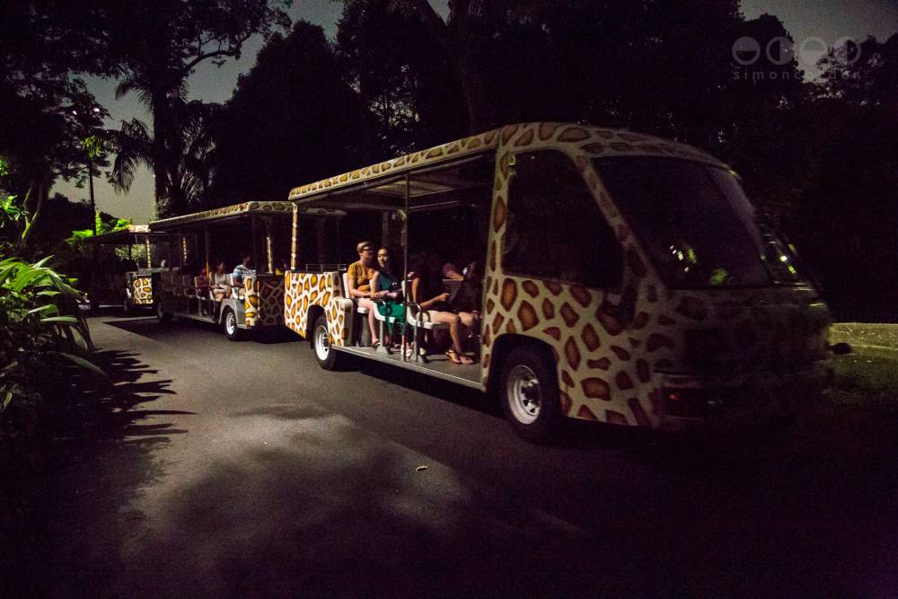 singapore night safari ticket timings